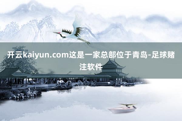 开云kaiyun.com这是一家总部位于青岛-足球赌注软件
