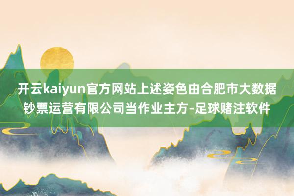 开云kaiyun官方网站上述姿色由合肥市大数据钞票运营有限公司当作业主方-足球赌注软件