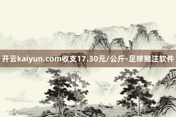 开云kaiyun.com收支17.30元/公斤-足球赌注软件