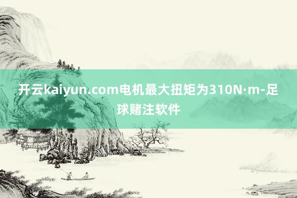开云kaiyun.com电机最大扭矩为310N·m-足球赌注软件