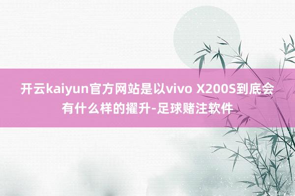 开云kaiyun官方网站是以vivo X200S到底会有什么样的擢升-足球赌注软件