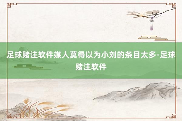 足球赌注软件媒人莫得以为小刘的条目太多-足球赌注软件