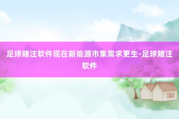 足球赌注软件现在新能源市集需求更生-足球赌注软件