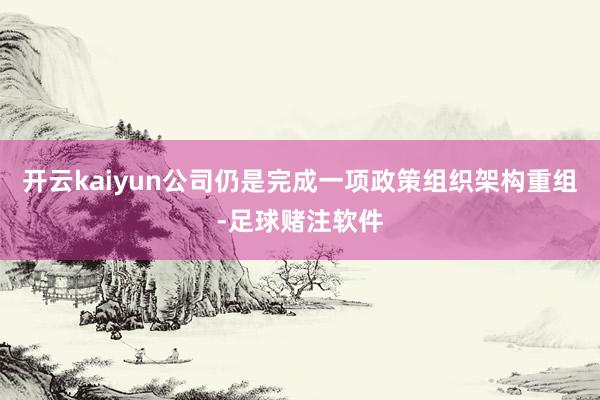 开云kaiyun公司仍是完成一项政策组织架构重组-足球赌注软件