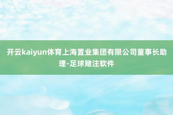 开云kaiyun体育上海置业集团有限公司董事长助理-足球赌注软件