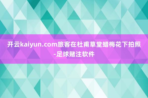 开云kaiyun.com旅客在杜甫草堂蜡梅花下拍照-足球赌注软件