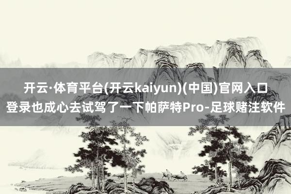 开云·体育平台(开云kaiyun)(中国)官网入口登录也成心去试驾了一下帕萨特Pro-足球赌注软件