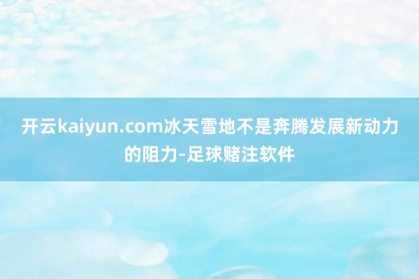开云kaiyun.com冰天雪地不是奔腾发展新动力的阻力-足球赌注软件