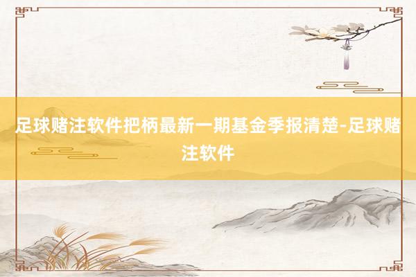 足球赌注软件把柄最新一期基金季报清楚-足球赌注软件