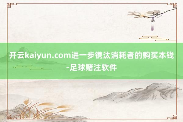 开云kaiyun.com进一步镌汰消耗者的购买本钱-足球赌注软件