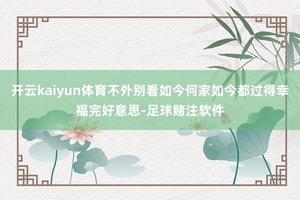 开云kaiyun体育不外别看如今何家如今都过得幸福完好意思-足球赌注软件