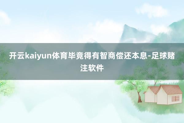 开云kaiyun体育毕竟得有智商偿还本息-足球赌注软件