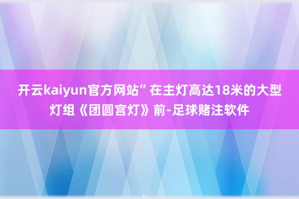 开云kaiyun官方网站”在主灯高达18米的大型灯组《团圆宫灯》前-足球赌注软件