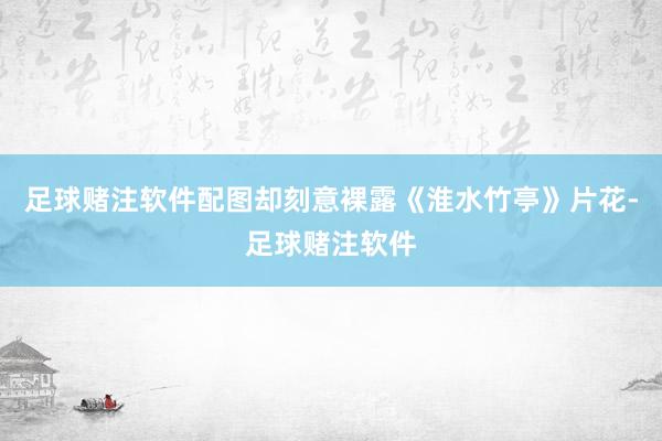 足球赌注软件配图却刻意裸露《淮水竹亭》片花-足球赌注软件