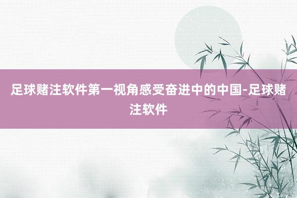 足球赌注软件第一视角感受奋进中的中国-足球赌注软件