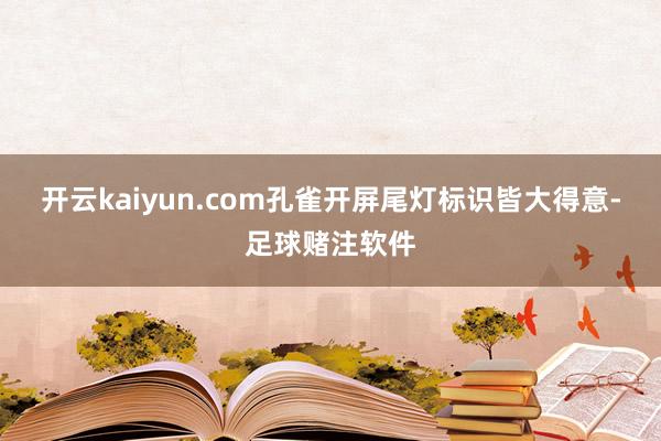 开云kaiyun.com孔雀开屏尾灯标识皆大得意-足球赌注软件