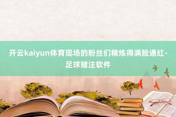 开云kaiyun体育现场的粉丝们精炼得满脸通红-足球赌注软件