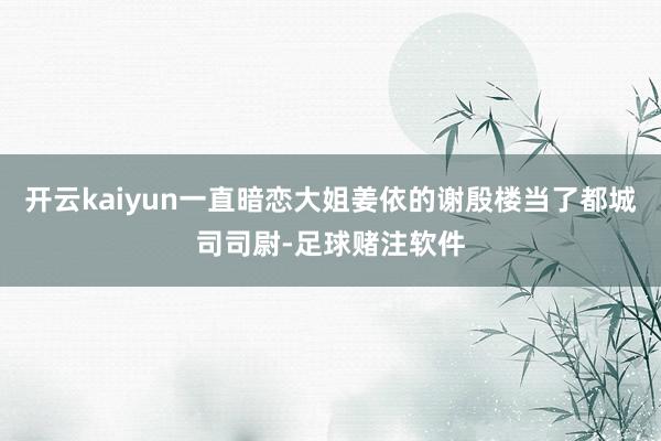 开云kaiyun一直暗恋大姐姜依的谢殷楼当了都城司司尉-足球赌注软件