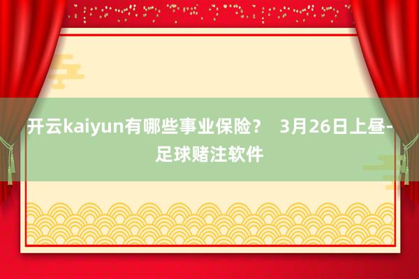 开云kaiyun有哪些事业保险？  3月26日上昼-足球赌注软件