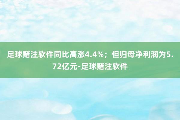 足球赌注软件同比高涨4.4%；但归母净利润为5.72亿元-足球赌注软件