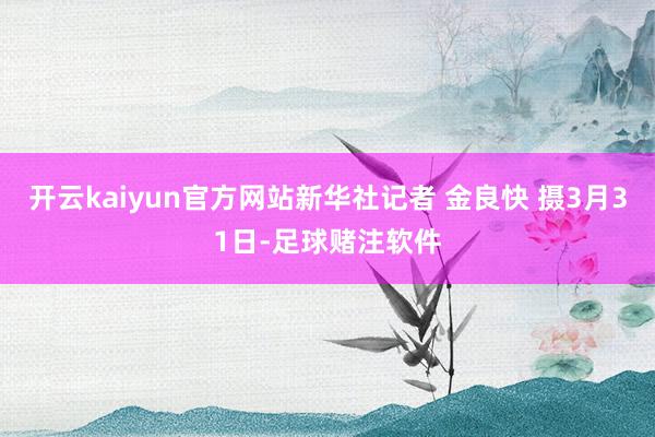 开云kaiyun官方网站新华社记者 金良快 摄3月31日-足球赌注软件