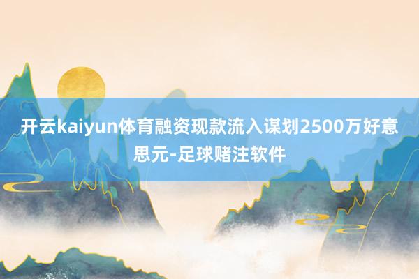 开云kaiyun体育融资现款流入谋划2500万好意思元-足球赌注软件