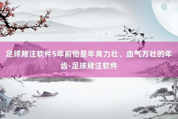 足球赌注软件5年前恰是年青力壮、血气方壮的年齿-足球赌注软件