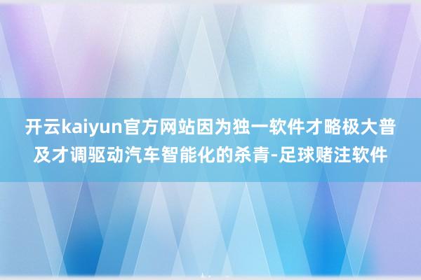 开云kaiyun官方网站因为独一软件才略极大普及才调驱动汽车智能化的杀青-足球赌注软件