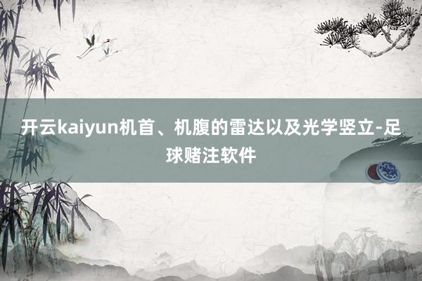 开云kaiyun机首、机腹的雷达以及光学竖立-足球赌注软件