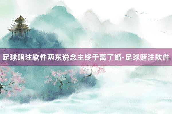足球赌注软件两东说念主终于离了婚-足球赌注软件
