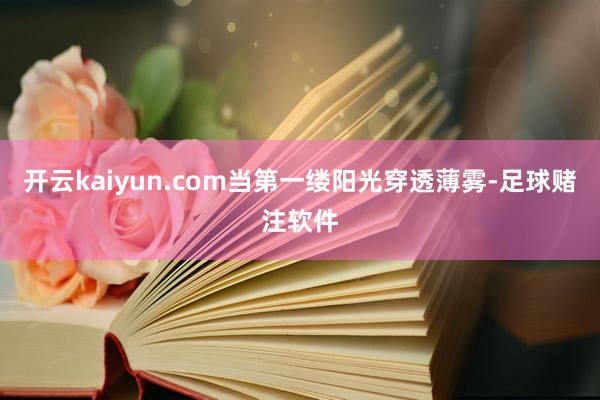 开云kaiyun.com当第一缕阳光穿透薄雾-足球赌注软件