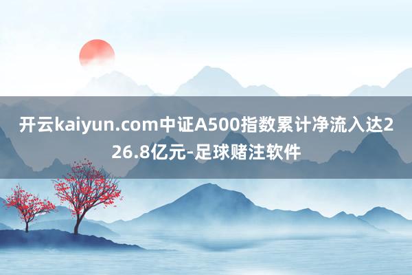 开云kaiyun.com中证A500指数累计净流入达226.8亿元-足球赌注软件