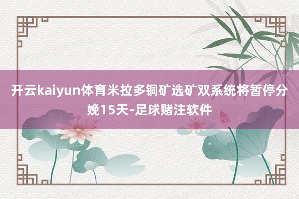 开云kaiyun体育米拉多铜矿选矿双系统将暂停分娩15天-足球赌注软件