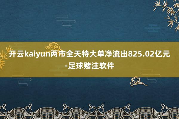 开云kaiyun两市全天特大单净流出825.02亿元-足球赌注软件
