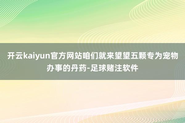 开云kaiyun官方网站咱们就来望望五颗专为宠物办事的丹药-足球赌注软件