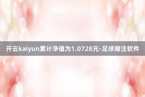 开云kaiyun累计净值为1.0728元-足球赌注软件