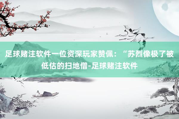 足球赌注软件一位资深玩家赞佩：“苏烈像极了被低估的扫地僧-足球赌注软件