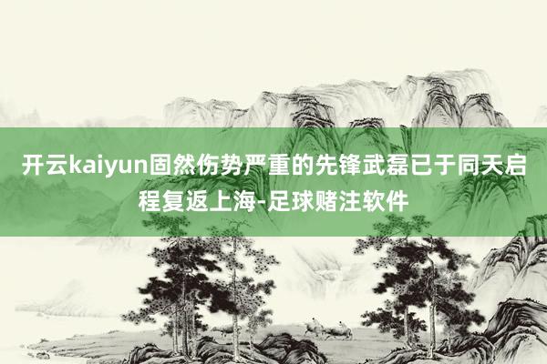 开云kaiyun固然伤势严重的先锋武磊已于同天启程复返上海-足球赌注软件