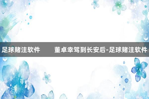 足球赌注软件        董卓幸驾到长安后-足球赌注软件