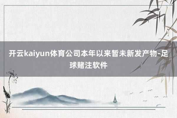 开云kaiyun体育公司本年以来暂未新发产物-足球赌注软件
