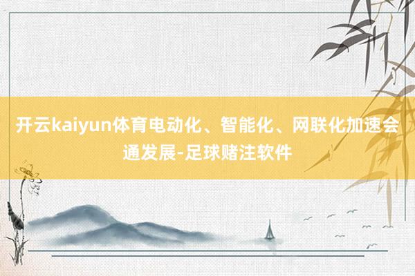 开云kaiyun体育电动化、智能化、网联化加速会通发展-足球赌注软件