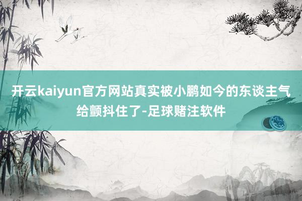开云kaiyun官方网站真实被小鹏如今的东谈主气给颤抖住了-足球赌注软件