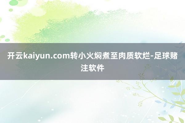 开云kaiyun.com转小火焖煮至肉质软烂-足球赌注软件