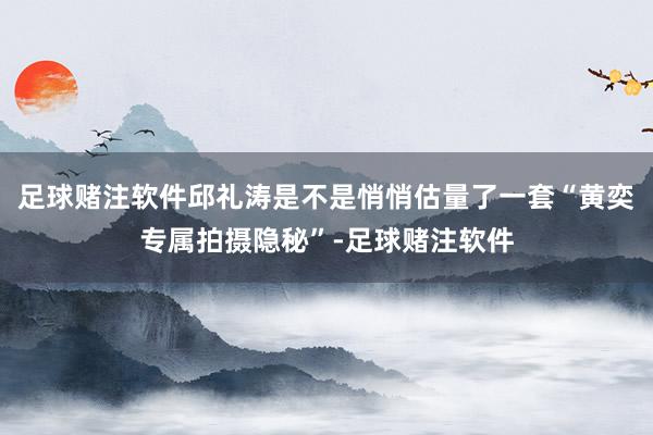 足球赌注软件邱礼涛是不是悄悄估量了一套“黄奕专属拍摄隐秘”-足球赌注软件