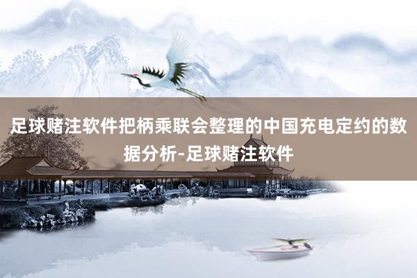 足球赌注软件把柄乘联会整理的中国充电定约的数据分析-足球赌注软件