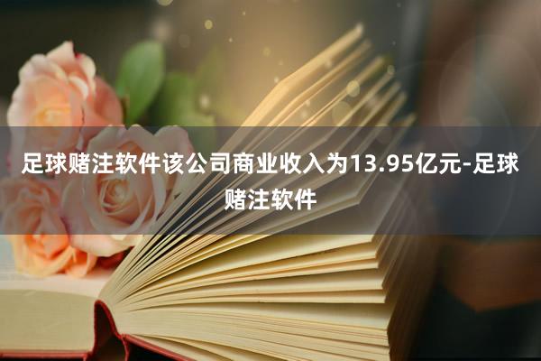 足球赌注软件该公司商业收入为13.95亿元-足球赌注软件