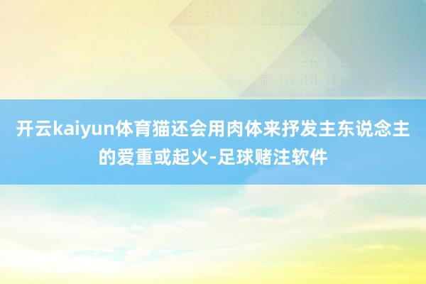 开云kaiyun体育猫还会用肉体来抒发主东说念主的爱重或起火-足球赌注软件