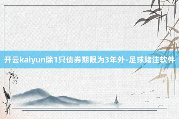 开云kaiyun除1只债券期限为3年外-足球赌注软件
