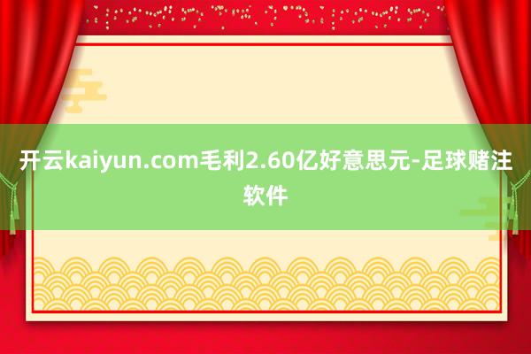 开云kaiyun.com毛利2.60亿好意思元-足球赌注软件