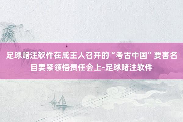 足球赌注软件在成王人召开的“考古中国”要害名目要紧领悟责任会上-足球赌注软件